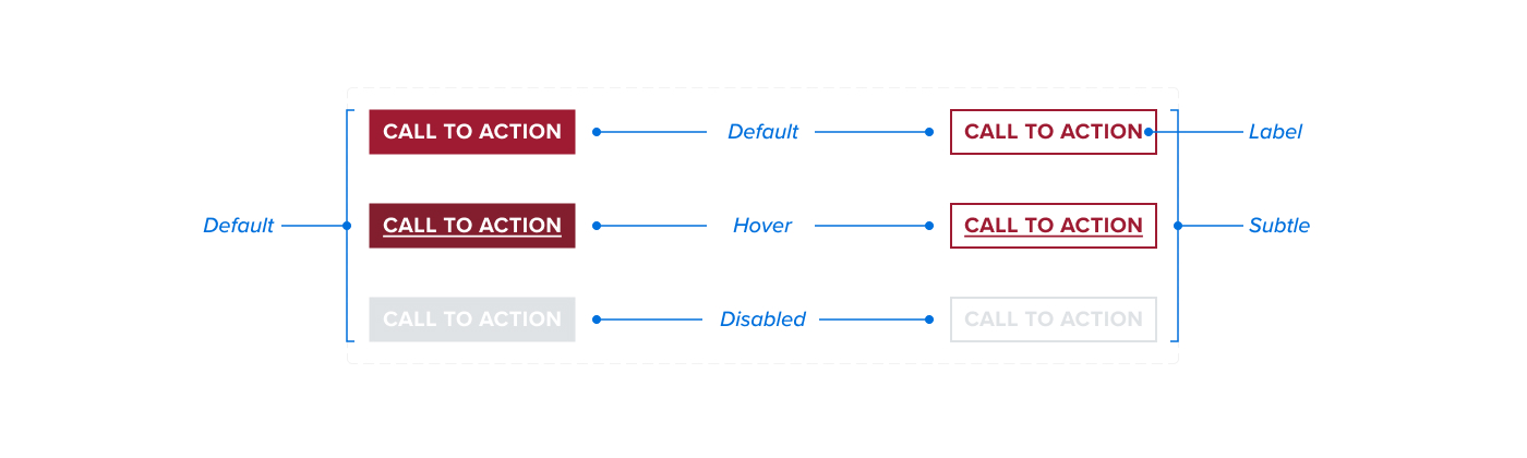 CTA Anatomy